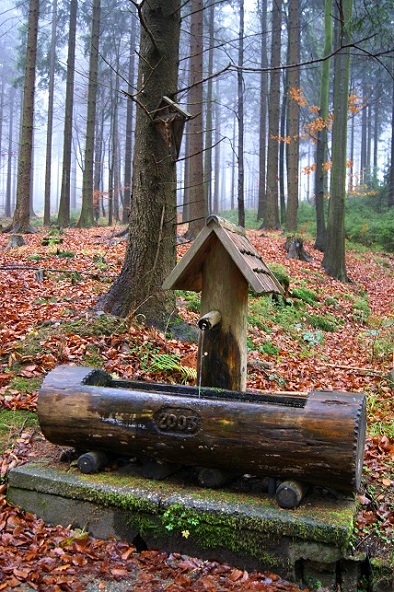 Foto: Andreas Koller / Wandertour / Ostrong - mystisches Waldviertel (1061m) / 22.12.2013 23:57:31