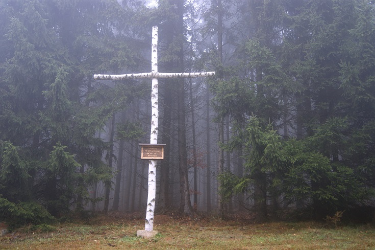 Foto: Andreas Koller / Wandertour / Ostrong - mystisches Waldviertel (1061m) / 22.12.2013 23:57:03