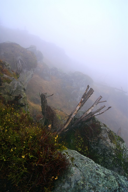 Foto: Andreas Koller / Wandertour / Ostrong - mystisches Waldviertel (1061m) / 22.12.2013 23:55:49
