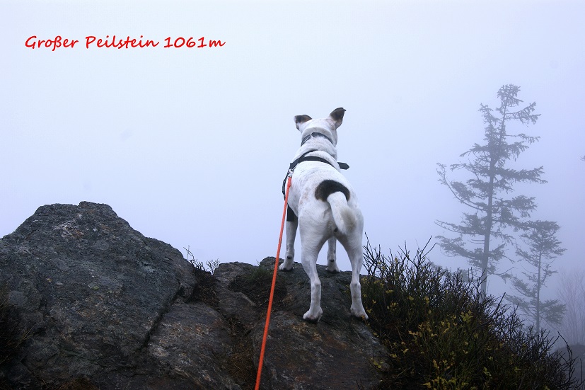 Foto: Andreas Koller / Wandertour / Ostrong - mystisches Waldviertel (1061m) / 22.12.2013 23:55:41