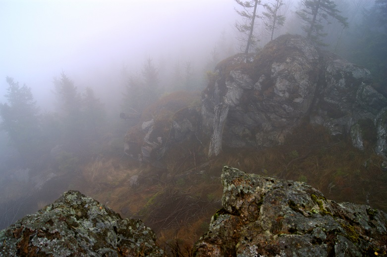 Foto: Andreas Koller / Wandertour / Ostrong - mystisches Waldviertel (1061m) / 22.12.2013 23:55:34