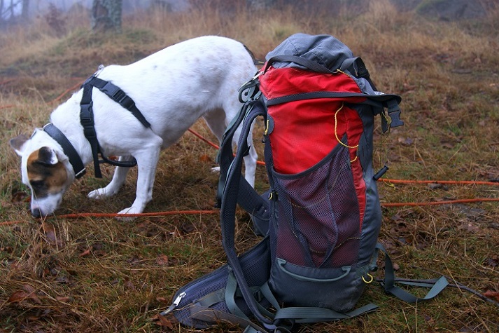 Foto: Andreas Koller / Wandertour / Ostrong - mystisches Waldviertel (1061m) / 22.12.2013 23:54:38