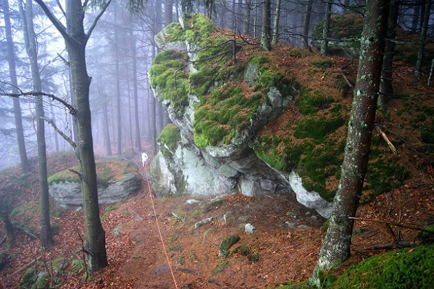 Foto: Andreas Koller / Wandertour / Ostrong - mystisches Waldviertel (1061m) / 22.12.2013 23:53:33