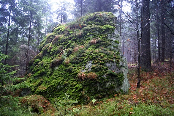Foto: Andreas Koller / Wandertour / Ostrong - mystisches Waldviertel (1061m) / 22.12.2013 23:52:09