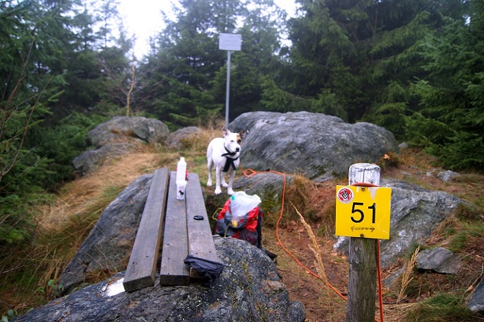 Foto: Andreas Koller / Wandertour / Ostrong - mystisches Waldviertel (1061m) / 22.12.2013 23:51:01