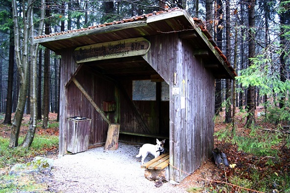 Foto: Andreas Koller / Wandertour / Ostrong - mystisches Waldviertel (1061m) / TVN-Unterstand / 22.12.2013 23:49:51