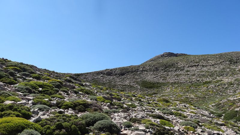 Foto: Datzi / Wandertour / Rundtour über den Psiloritis der Abstiegsweg führte dann über einsame Hirtenhütten / Der Leichte Anstiegsweg zur Wegkreuzung zum Oberen Kar ( Nur noch ein paar Meter) / 25.06.2014 20:44:57