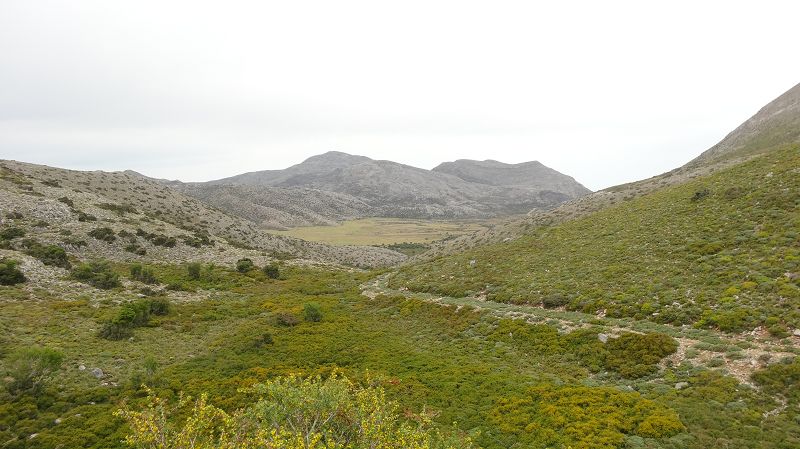 Foto: Datzi / Wandertour / Rundtour über den Psiloritis der Abstiegsweg führte dann über einsame Hirtenhütten / Unser Abstiegsweg im oberen Teil nach den Steinpalast mit Blick zur Ida Hochebene / 25.06.2014 20:55:26