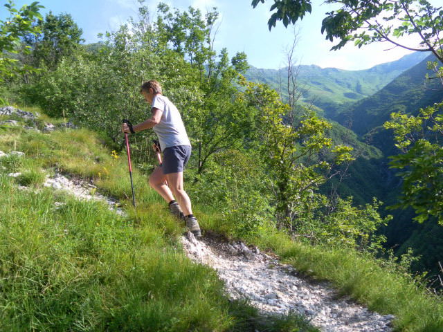 Foto: Wolfgang Lauschensky / Wandertour / Chiesa di Sant’Antonio abate bei Venzone / am Almrücken / 25.06.2014 13:05:24