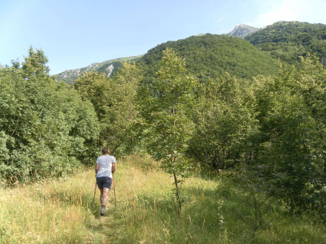 Foto: Wolfgang Lauschensky / Wandertour / Chiesa di Sant’Antonio abate bei Venzone / Ende der Almwiese mit Blick zum Hügel Sant'Antonio / 25.06.2014 13:05:12