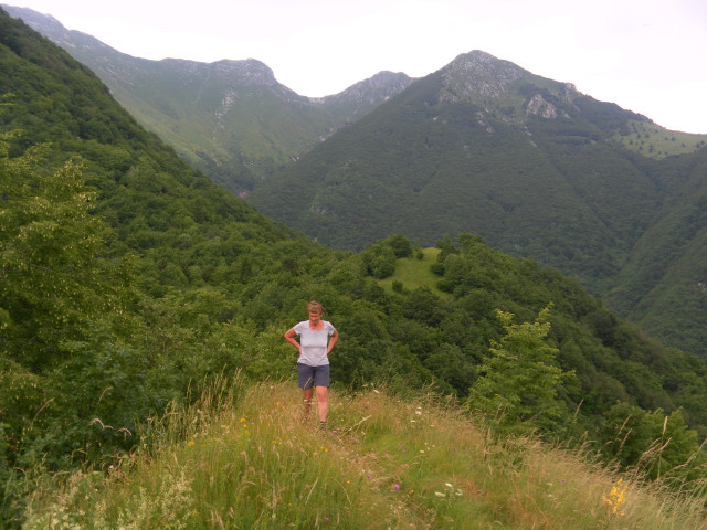 Foto: Wolfgang Lauschensky / Wandertour / Chiesa di Sant’Antonio abate bei Venzone / am Grasgipfel mit Blick zur Forcella Slips des Monte Plauris / 25.06.2014 13:04:12