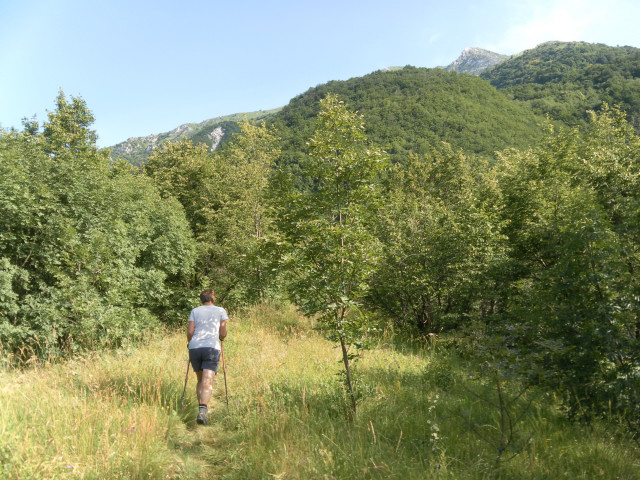 Foto: Wolfgang Lauschensky / Wandertour / Monte Plauris 1958m Südanstieg / am Weg zur Chiesa Sant'Antonio auf dem vorderen Hügel / 25.06.2014 18:12:36