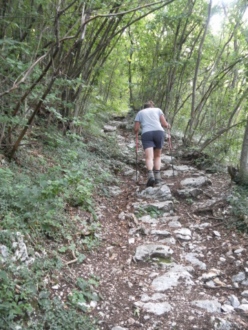 Foto: Wolfgang Lauschensky / Wandertour / Monte Plauris 1958m Südanstieg / Waldpfad / 25.06.2014 18:12:20