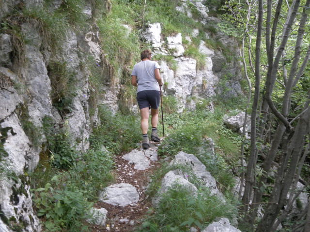 Foto: Wolfgang Lauschensky / Wandertour / Monte Plauris 1958m Südanstieg / Querung zur Casera Ungarina / 25.06.2014 18:12:05