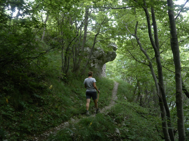 Foto: Wolfgang Lauschensky / Wandertour / Monte Plauris 1958m Südanstieg / schattige Querung / 25.06.2014 18:11:53