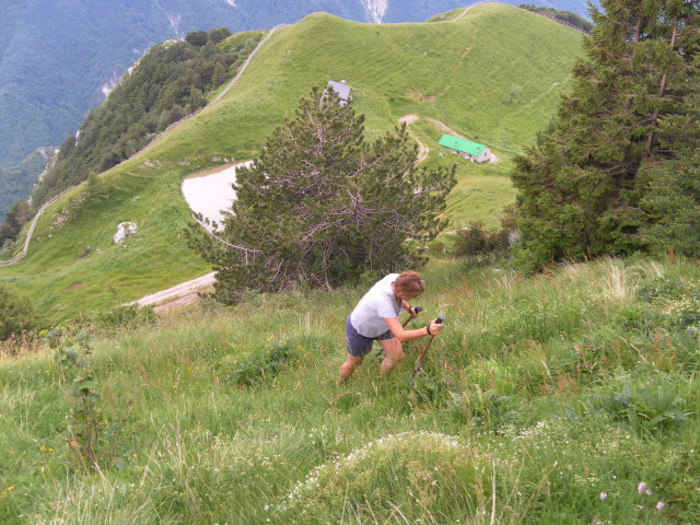 Foto: Wolfgang Lauschensky / Wandertour / Monte Plauris 1958m Südanstieg / grasig verwachsener Steilrücken über der Alm / 25.06.2014 18:11:03