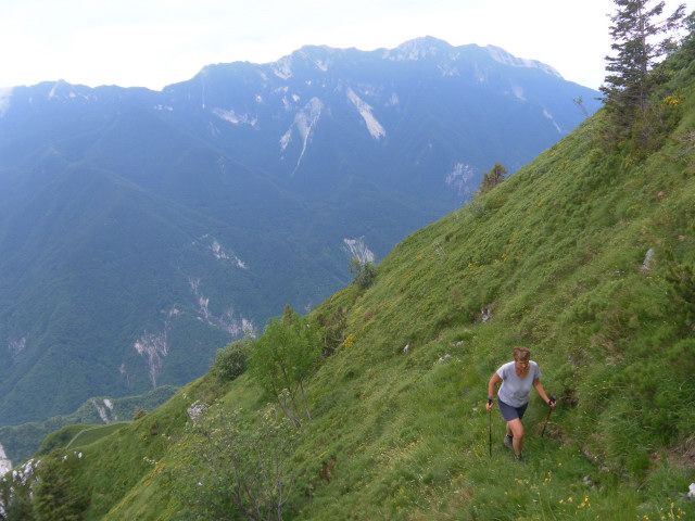 Foto: Wolfgang Lauschensky / Wandertour / Monte Plauris 1958m Südanstieg / Querung unter dem Südgrat mit Blick zum Monte Chiampon / 25.06.2014 18:10:46