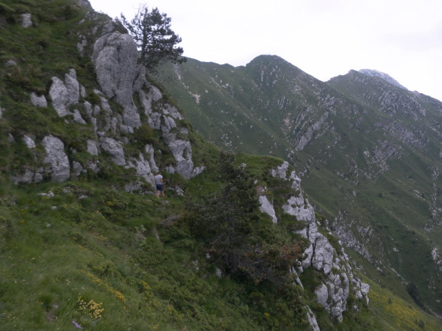 Foto: Wolfgang Lauschensky / Wandertour / Monte Plauris 1958m Südanstieg / steile Ostflanke / 25.06.2014 18:10:34