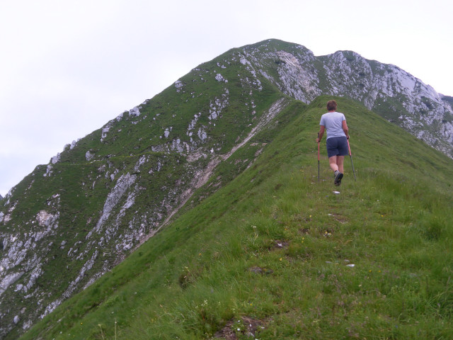 Foto: Wolfgang Lauschensky / Wandertour / Monte Plauris 1958m Südanstieg / am Südgratrücken / 25.06.2014 18:10:12