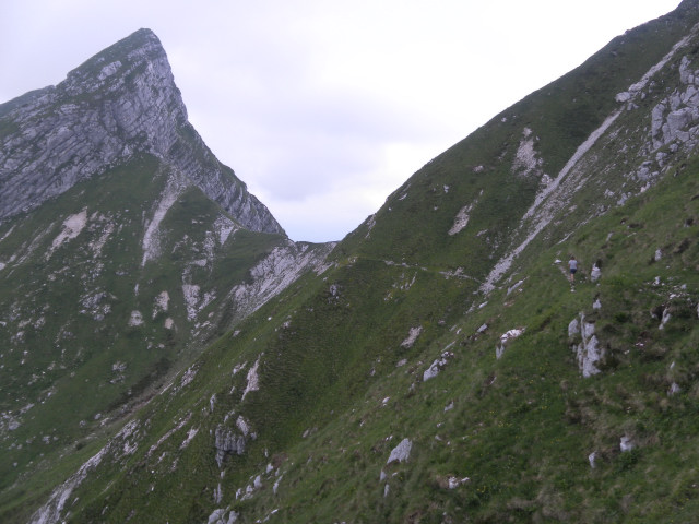 Foto: Wolfgang Lauschensky / Wandertour / Monte Plauris 1958m Südanstieg / unangenehmer Quergang zur Forcella Slips / 25.06.2014 18:09:59