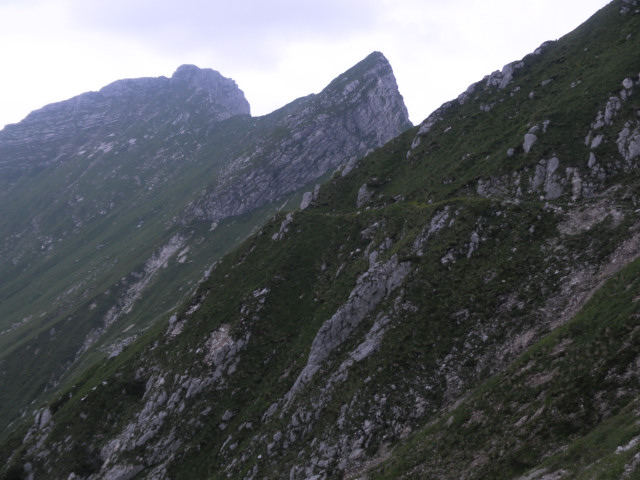 Foto: Wolfgang Lauschensky / Wandertour / Monte Plauris 1958m Südanstieg / Ostgrat zum Monte Plauris / 25.06.2014 18:09:14