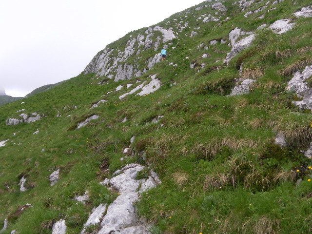 Foto: Wolfgang Lauschensky / Wandertour / Monte Plauris 1958m Südanstieg / wegloses Gras-Schrofengelände / 25.06.2014 18:09:01