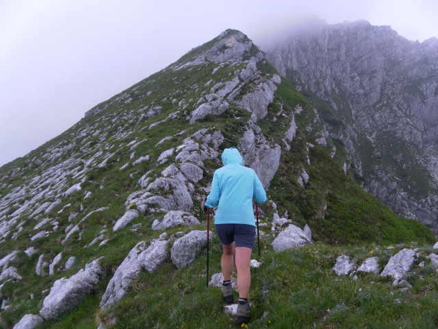 Foto: Wolfgang Lauschensky / Wandertour / Monte Plauris 1958m Südanstieg / am Ostgrat / 25.06.2014 18:08:46