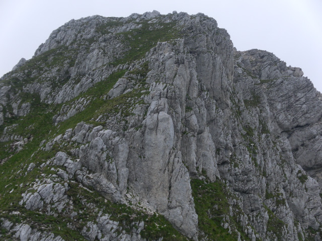 Foto: Wolfgang Lauschensky / Wandertour / Monte Plauris 1958m Südanstieg / Gipfelstock des Monte Plauris / 25.06.2014 18:08:32