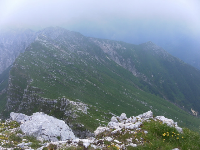 Foto: Wolfgang Lauschensky / Wandertour / Monte Plauris 1958m Südanstieg / Rückblick / 25.06.2014 18:08:05
