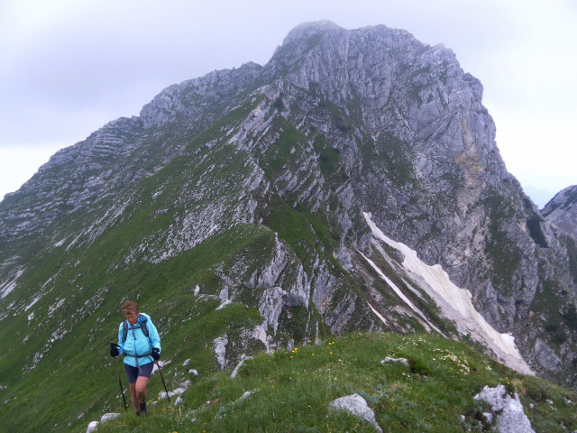 Foto: Wolfgang Lauschensky / Wandertour / Monte Plauris 1958m Südanstieg / Abstieg über Ostgrat / 25.06.2014 18:07:52