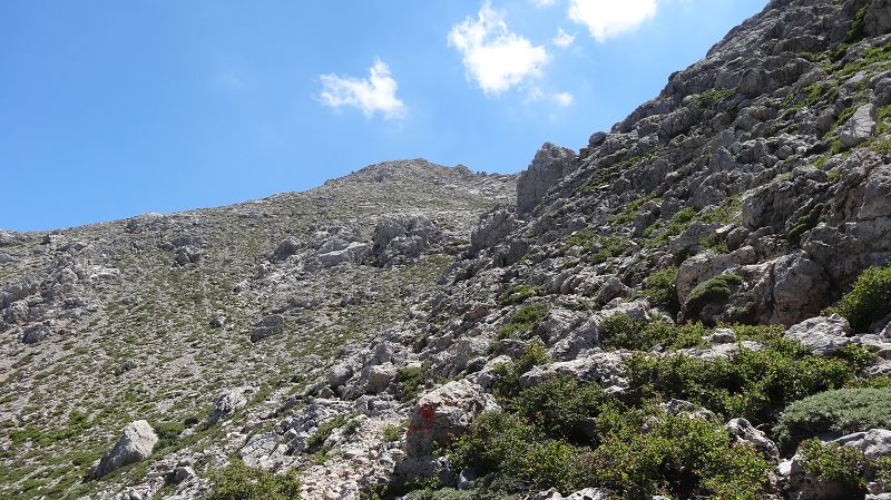 Foto: Datzi / Wandertour / Von der Lasithiou Hochebene zum Afentis sowie Dikti Ori (Biwak) und Lazaros / Der Weg zum Afendis ist gut markiert / 27.06.2014 14:14:27