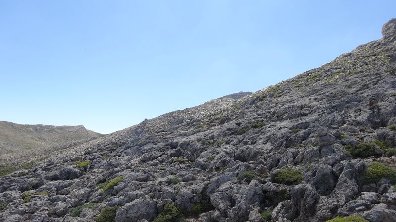 Foto: Datzi / Wandertour / Von der Lasithiou Hochebene zum Afentis sowie Dikti Ori (Biwak) und Lazaros / Der Weg zum Afendis / 27.06.2014 14:41:03