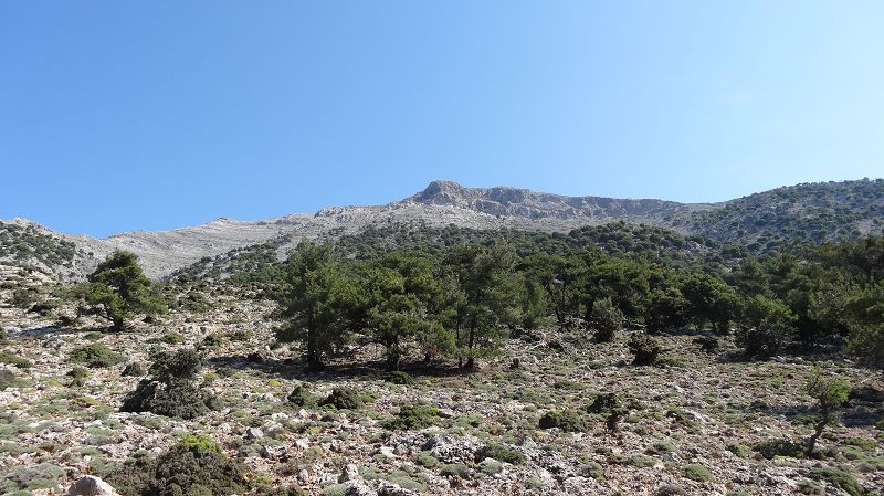 Foto: Datzi / Wandertour / Von der Lasithiou Hochebene zum Afentis sowie Dikti Ori (Biwak) und Lazaros / Blick zurück zum Abstieg / 27.06.2014 15:06:25