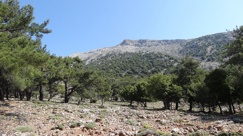 Foto: Datzi / Wandertour / Von der Lasithiou Hochebene zum Afentis sowie Dikti Ori (Biwak) und Lazaros / Blick zurück zum Abstieg / 27.06.2014 15:06:46