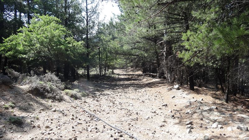 Foto: Datzi / Wandertour / Von der Lasithiou Hochebene zum Afentis sowie Dikti Ori (Biwak) und Lazaros / Endlich am E 4 Weg der mich sicher zum ausgemachten Treffpunkt bringt / 27.06.2014 15:07:32