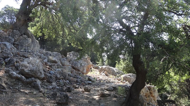 Foto: Datzi / Wandertour / Von der Lasithiou Hochebene zum Afentis sowie Dikti Ori (Biwak) und Lazaros / Der E4 Weg Richtung Taverne / 27.06.2014 15:08:14