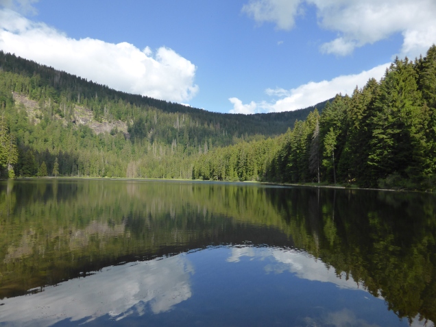 Foto: Manfred Karl / Wandertour / Großer Arber über das Mittagsplatzl / Großer Arbersee / 05.07.2014 17:40:43