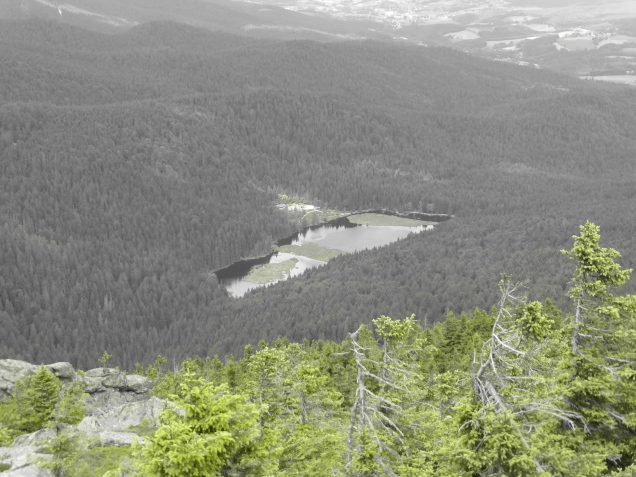 Foto: Manfred Karl / Wandertour / Großer Arber über das Mittagsplatzl / Kleiner Arbersee / 05.07.2014 17:38:34