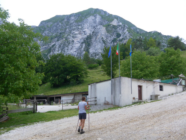 Foto: Wolfgang Lauschensky / Wandertour / Monte Chiampon 1709m / Baita Cuarnan vor Monte Chiampon / 02.07.2014 20:57:32