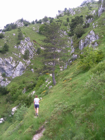 Foto: Wolfgang Lauschensky / Wandertour / Monte Chiampon 1709m / Gras-Schrofengelände / 02.07.2014 20:56:37