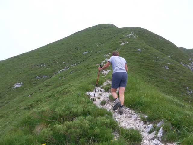 Foto: Wolfgang Lauschensky / Wandertour / Monte Chiampon 1709m / am Gipfelgratrücken / 02.07.2014 20:55:21
