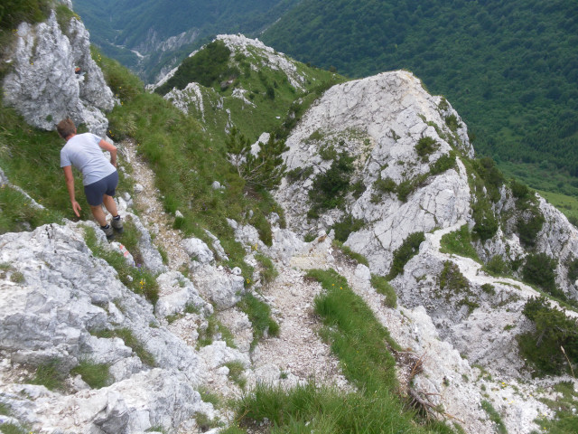 Foto: Wolfgang Lauschensky / Wandertour / Monte Chiampon 1709m / Abstieg zum Passo della Signorina / 02.07.2014 20:54:06