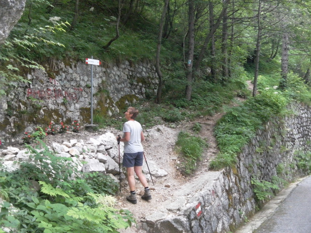 Foto: Wolfgang Lauschensky / Wandertour / Monte Amariana 1905m Südanstieg / Einstieg / 03.07.2014 18:47:42