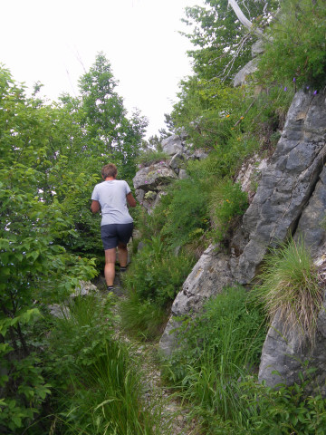 Foto: Wolfgang Lauschensky / Wandertour / Monte Amariana 1905m Südanstieg / leicht verwachsener Steig / 03.07.2014 18:47:15