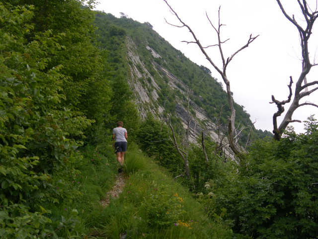 Foto: Wolfgang Lauschensky / Wandertour / Monte Amariana 1905m Südanstieg / schmaler Steig im Steilgelände / 03.07.2014 18:46:53