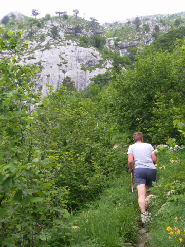 Foto: Wolfgang Lauschensky / Wandertour / Monte Amariana 1905m Südanstieg / üppiger Bewuchs / 03.07.2014 18:46:38
