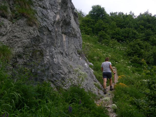 Foto: Wolfgang Lauschensky / Wandertour / Monte Amariana 1905m Südanstieg / Querung eines Felsbandes / 03.07.2014 18:46:26