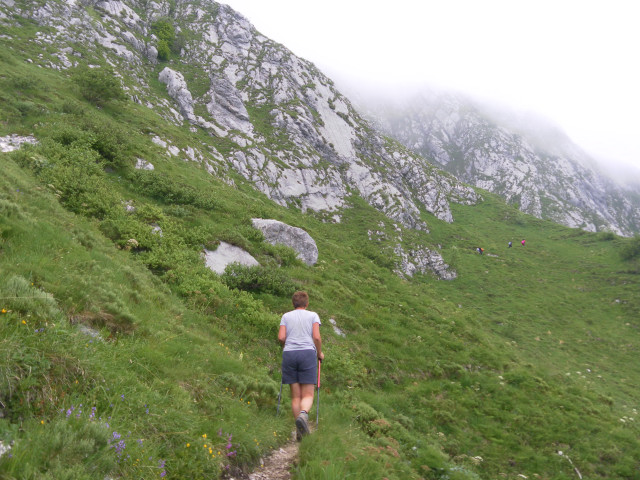 Foto: Wolfgang Lauschensky / Wandertour / Monte Amariana 1905m Südanstieg / langer Quergang zur steilen Südwiese / 03.07.2014 18:46:11