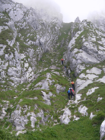 Foto: Wolfgang Lauschensky / Wandertour / Monte Amariana 1905m Südanstieg / Einstieg in die Schrofenrinne / 03.07.2014 18:45:57