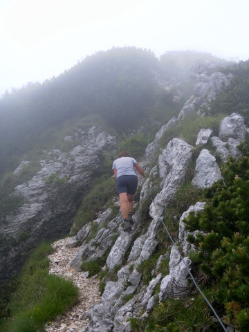 Foto: Wolfgang Lauschensky / Wandertour / Monte Amariana 1905m Südanstieg / obere Querung der Rinne / 03.07.2014 18:44:50
